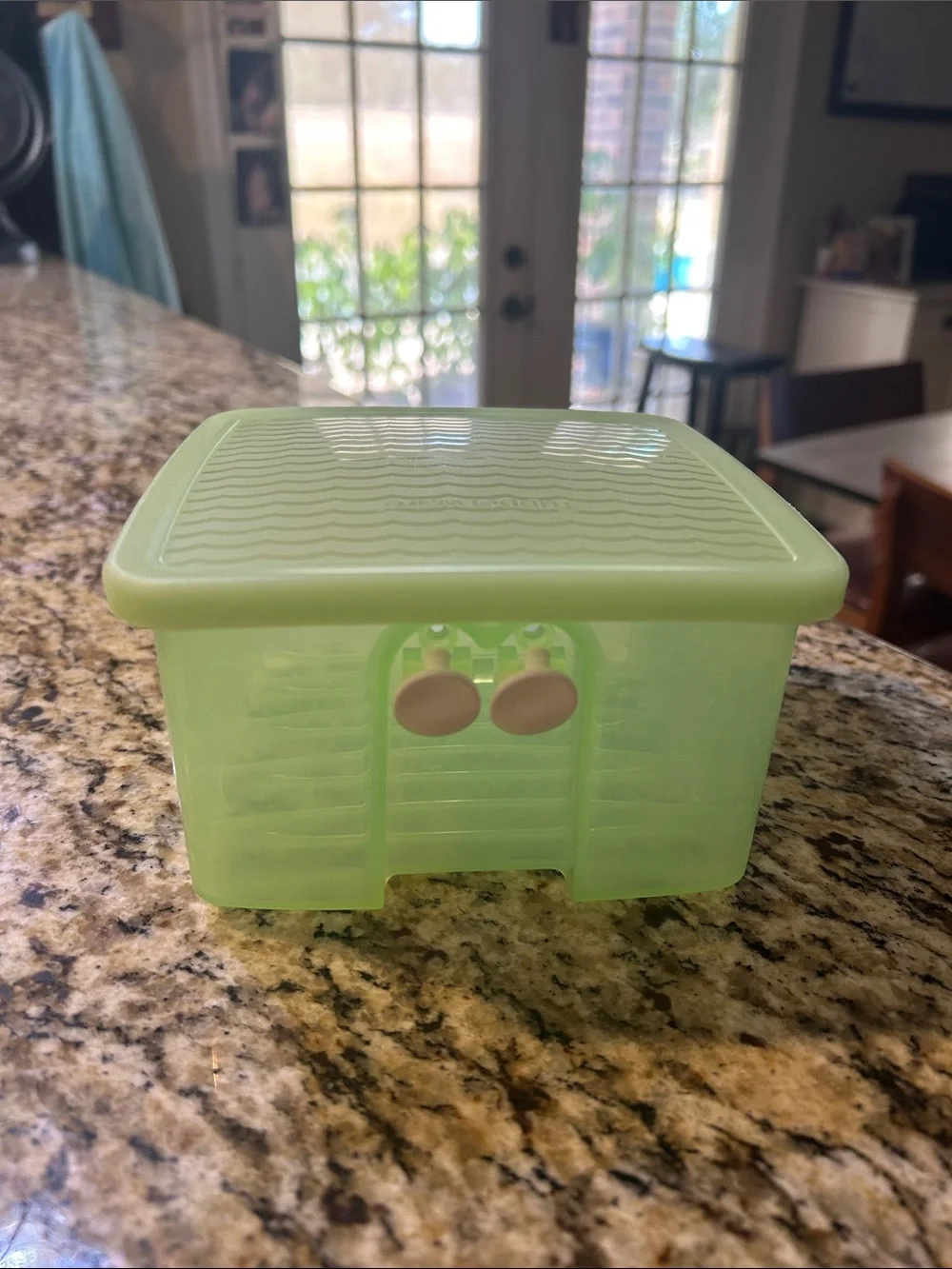 Green Vegetables Food Storage Container with Lid